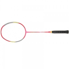 Trí tuệ và Khung Badminton Racket