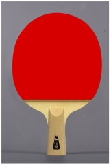 vợt bóng bàn gỗ cao su ittf